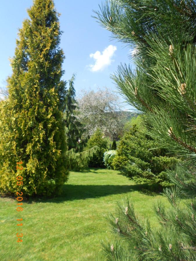 Agroturystyka Zielony Ogrod Scinawka Srednia Kültér fotó